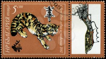 BULGARIA - CIRCA 1981: A Stamp shows image of a Feline Predator in the theme of World Hunting Exhibition, series, circa 1981