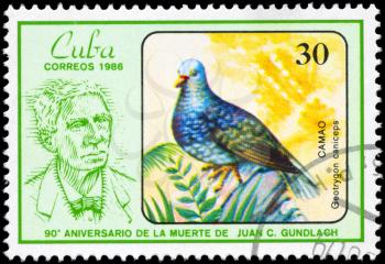 CUBA - CIRCA 1986: A Stamp shows image of a Quail-dove with the designation Geotrygon caniceps from the series Gundlach and Birds. Note - Juan Cristobal Gundlach (1810-1896), ornithologist., circa