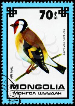 MONGOLIA - CIRCA 1979: A Stamp shows image of a Goldfinch with the designation Carduelis carduelis from the series Protected Birds, circa 1979