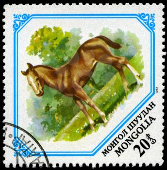 MONGOLIA - CIRCA 1982: A Stamp shows image of a Foal, series, circa 1982