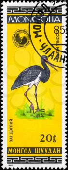MONGOLIA - CIRCA 1985: A Stamp shows image of a Black Stork with the inscription Ciconia nigra from the series Birds, circa 1985