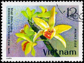 VIETNAM - CIRCA 1979: A Stamp shows image of a Dendrobium with the inscription Dendrobium Heterocacpum Wall., from the series Orchids, circa 1979