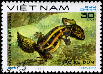 VIETNAM - CIRCA 1983: A Stamp printed in VIETNAM shows the image of a Carrot-tail Viper Gecko with the description Teratolepis fasciata from the series Reptiles, circa 1983