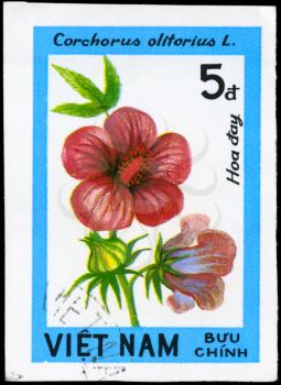 VIETNAM - CIRCA 1984: A Stamp printed in VIETNAM shows image of a Corchorus olitorius, from the series Wildflowers, circa 1984