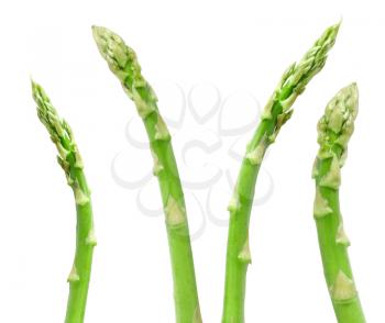 Royalty Free Photo of Asparagus