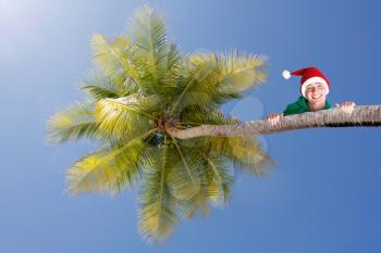 Christmas in the tropics
