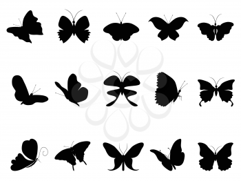 isolated black butterflies silhouette from white background