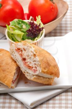 Royalty Free Photo of an Italian Ciabatta Sandwich