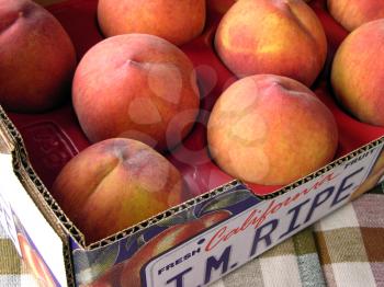 Royalty Free Photo of a Box of Peaches