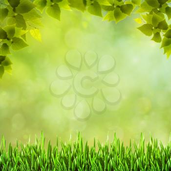 Beauty natural backgrounds for your design