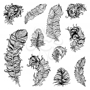 Royalty Free Clipart Image of a Feather Set