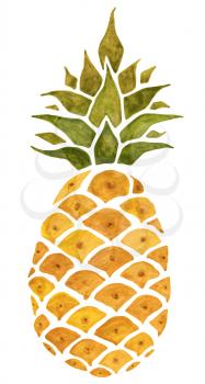Pineapple. Isolated on white background. Watercolor Hand Drawn illustration.