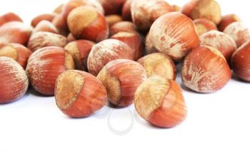 Royalty Free Photo of Hazelnuts