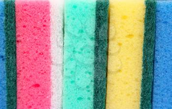 Royalty Free Photo of Sponges