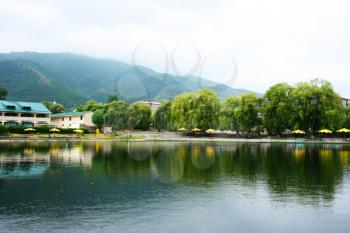 Royalty Free Photo of Trees on a Lake in Armenia
