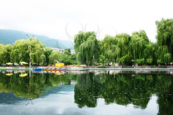 Royalty Free Photo of Trees by a Lake in Armenia