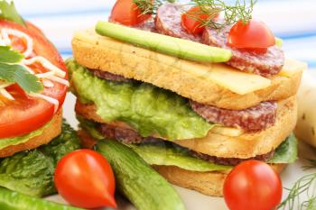 Sandwiches with salami, cheese, cherry tomato and herbs on plate.