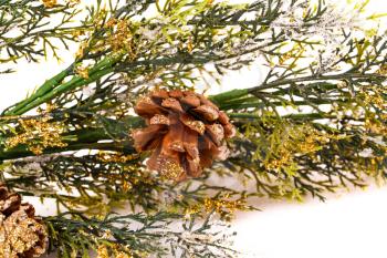 Christmas tree branch with cones on white background.