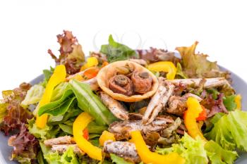 Salad with fish and fresh vegetables on white background.