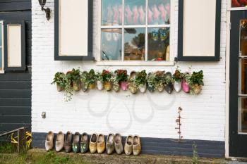 The old traditional wooden clogs with flowers on the white house wall in the Dutch fisherman village Marken.