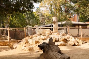 Beautiful lama sitting on the stones in the zoo.