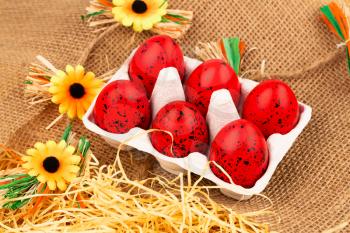 Easter red eggs and flowers on brown burlap background.