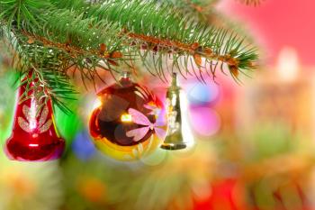 Christmas and New Year decoration-balls on fir tree.