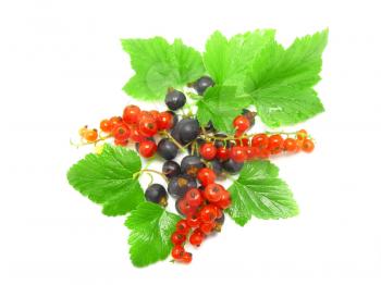Berry mix- red and black currant, with leaf on white background. Top view. Isolated.