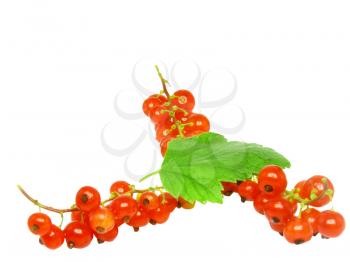 Red currant with leaf on white background. Isolated.