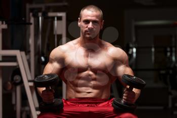 Young Bodybuilder Working Out Biceps - Dumbbell Concentration Curls