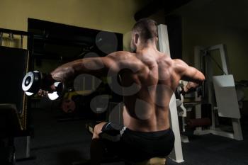 Athlete Working Out Shoulders In A Gym - Dumbbell Concentration Curls