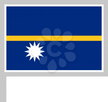 Nauru flag on flagpole, rectangular shape icon on white background, vector illustration.