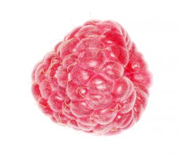  raspberry fruits  isolated on white background
