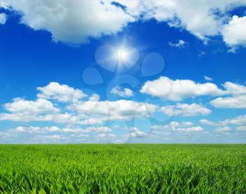 Green field, blue sky and sun