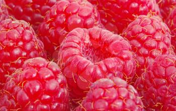 sweet fresh raspberries close up
