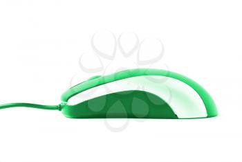 Computer mouse isolated on a white background