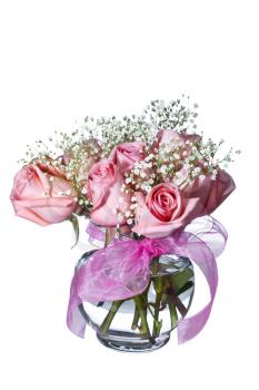 Beautiful pink roses in glass vase on pure white background