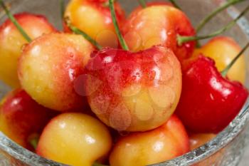 Close up fresh Rainier cherries, focus on cherry in front, in glass bowl. Washington State produce during early summer season. 