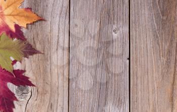 Overhead view of seasonal autumn leaves, left side of frame, on rustic wooden boards. 
