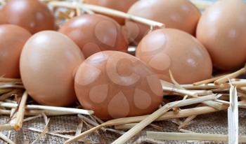 Raw organic brown farm eggs on straw background 