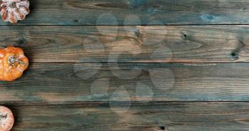Aging pumpkins on faded blue wood planks for either a Halloween or Thanksgiving holiday concept background 