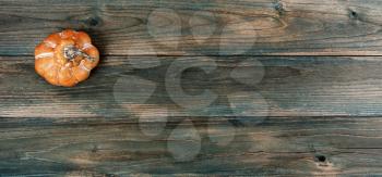An aging single pumpkin on faded blue wood planks for either a Halloween or Thanksgiving holiday concept background 