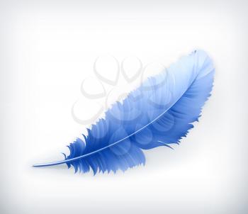 Feather, vector