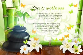 Spa and wellness, vector background