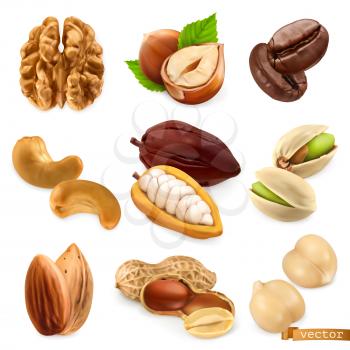 Nuts and beans. Walnut, hazelnut, coffee, cashew, cocoa, pistachio, almond, peanut, chickpea. 3d realistic vector set