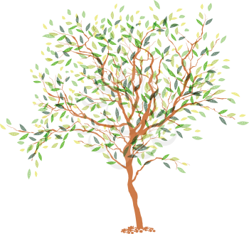 Tree. The trunk and leaves in separate layers. Vector illustration, EPS10.