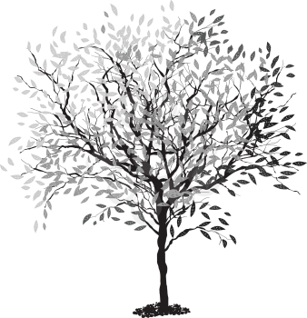 Tree silhouette. The trunk and leaves in separate layers. Vector illustration, EPS8.