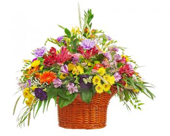 Flower bouquet arrangement centerpiece in wicker basket isolated on white background. Closeup.