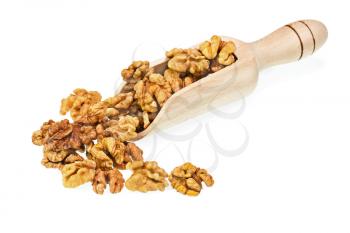 Handful of walnuts in scoop isolated on white background. Closeup. Selective focus.
