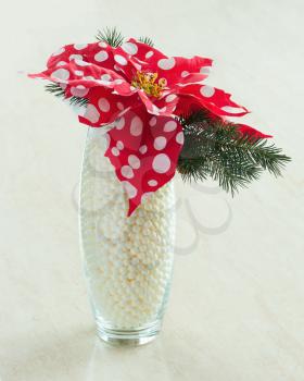 Composition from Poinsettia Plant with spruce branches in glass vase on wooden background. Closeup.